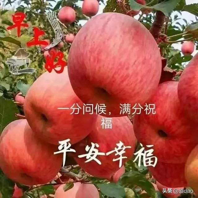 苹果